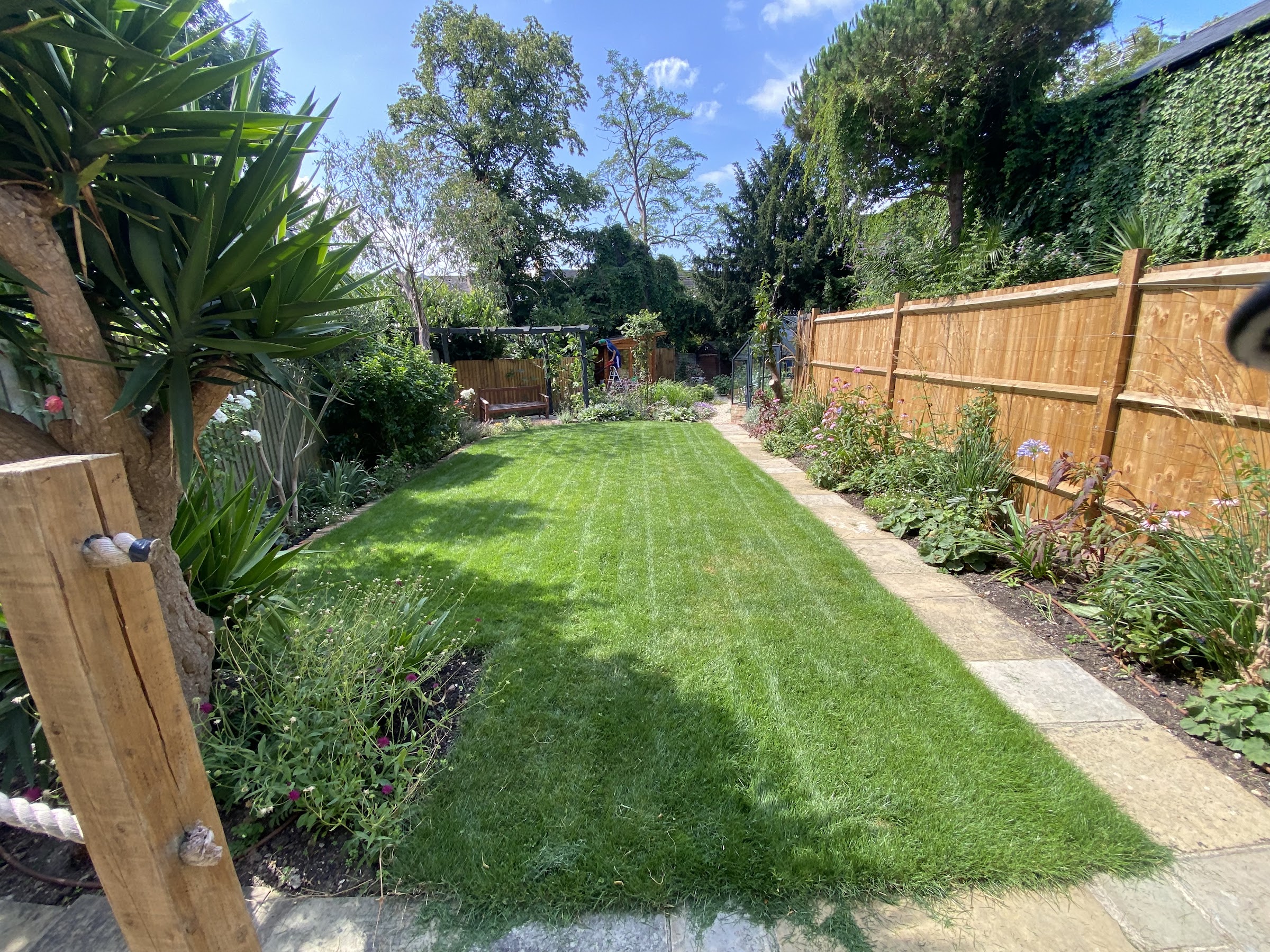 Lawn Restoration in Walton-on-Thames