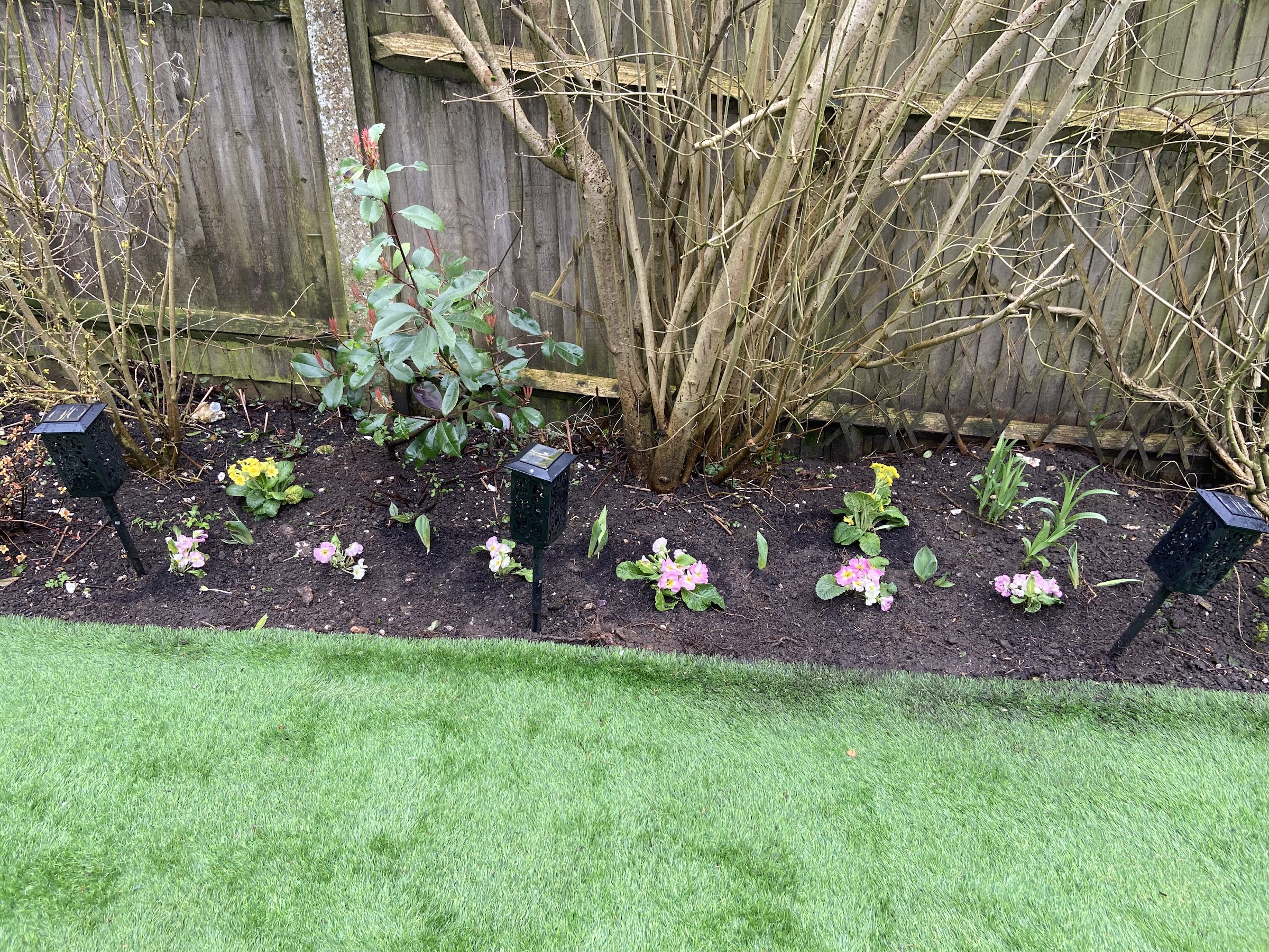 Hedges and shrubs pruned back into shape.